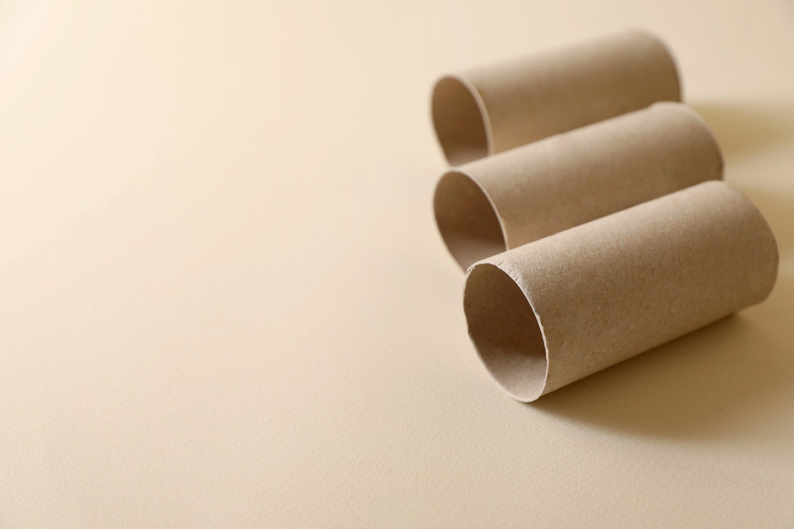 Empty toilet paper rolls on beige background. Space for text