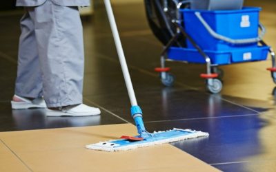 Transform Your Living Space with Apartment Cleaning Services In Colorado Springs CO Experts Recommend