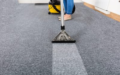 The Benefits of Professional Carpet Cleaning in Madison, WI, for Homes and Businesses