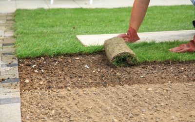 Transform Your Curb Appeal Fast With Sod Delivery Service, Atlanta, GA Solutions