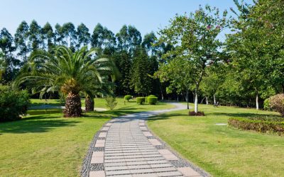 Enhance Your Garden Design by Choosing the Right Mulch Companies in Delafield, WI