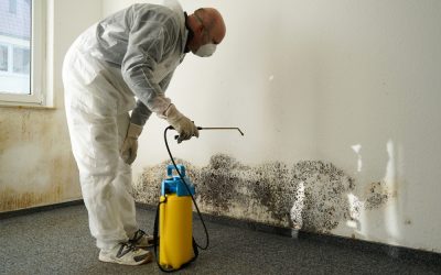 Protect Your Home with Expert Water Damage Restoration Service Beavercreek, OH Solutions