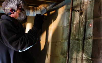 Why is black mold mitigation in Peachtree City, GA, essential for safe living