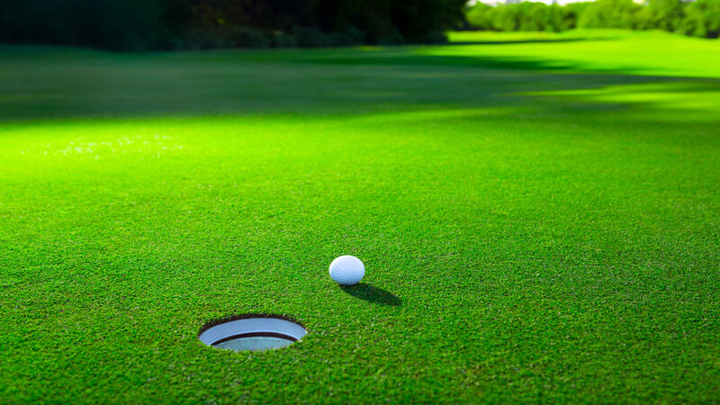 48838482 – golf ball on a green lawn