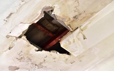 Restore Peace of Mind Using 24/7 Water Damage Restoration Services in Bellevue, WA, Anytime
