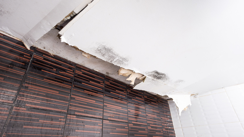 Common Causes and Solutions for Water Damage Restoration in Downers Grove, IL