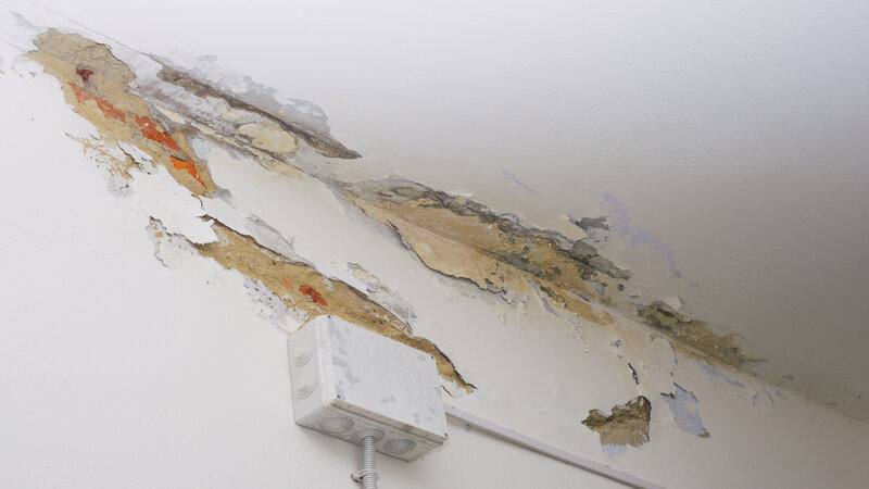 24/7 Water Damage Restoration Services Bellevue WA: A Practical Guide for Choosing the Right Service