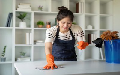 A Practical Guide to Choosing House Cleaning Services in Pittsburgh PA