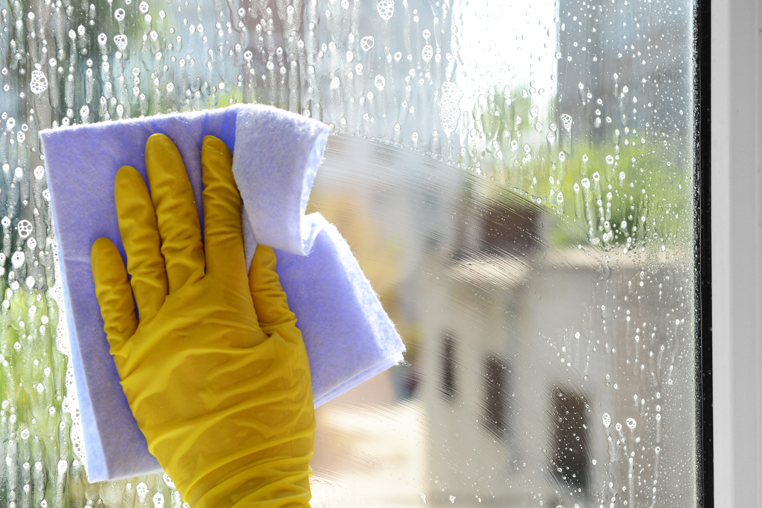 Find the Best Spring Cleaning Services Near Me for a Healthier Home This Season